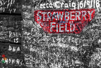 Strawberri fields